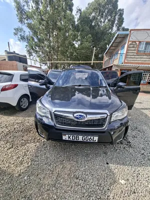 Subaru Forester 2014 Gray
