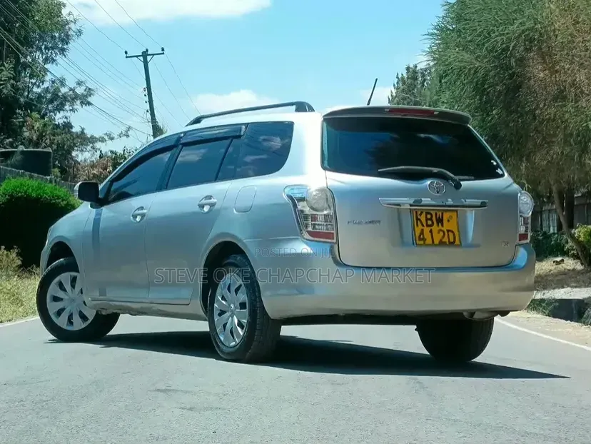 Toyota Corolla Fielder 2008 Silver