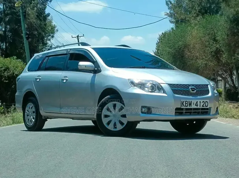 Toyota Corolla Fielder 2008 Silver