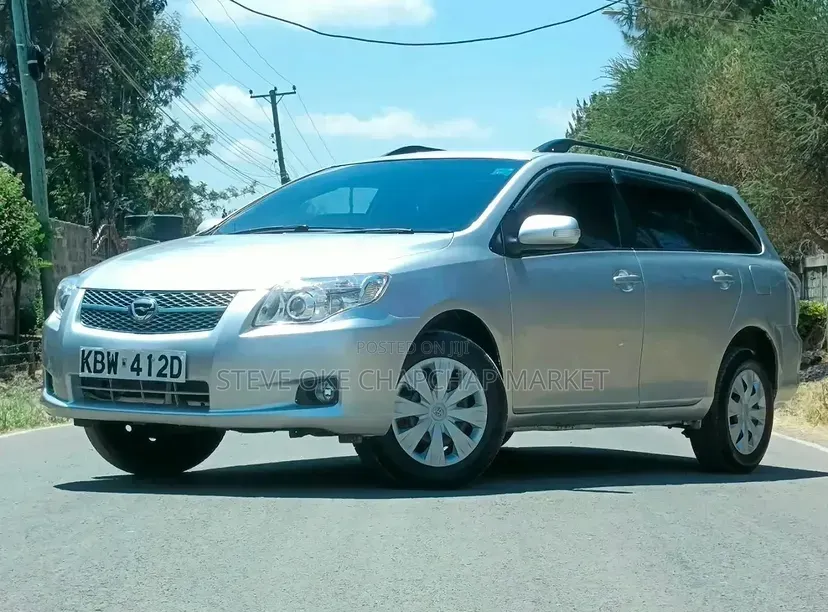 Toyota Corolla Fielder 2008 Silver
