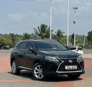 Lexus RX 2010 Black