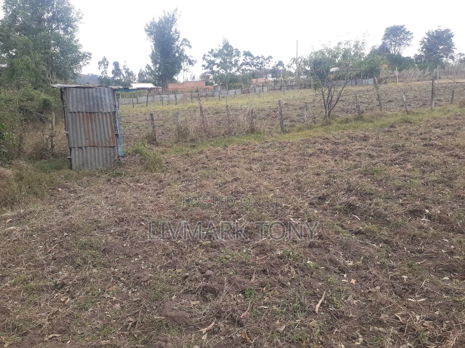 50x100 Land