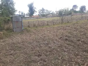 50x100 Land