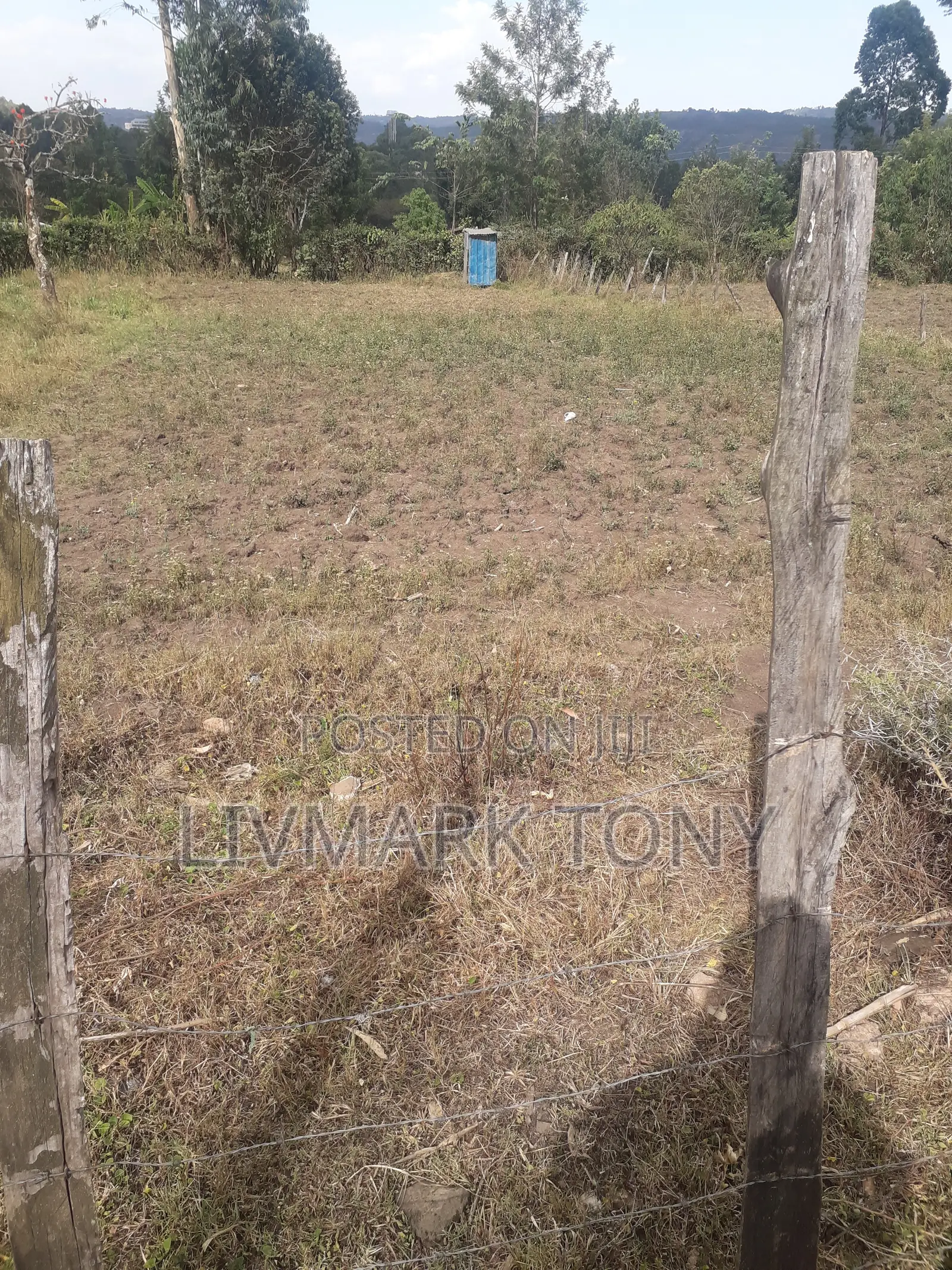 50x100 Land