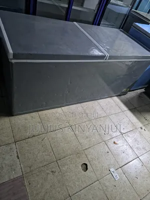 Split Door Freezer 600L