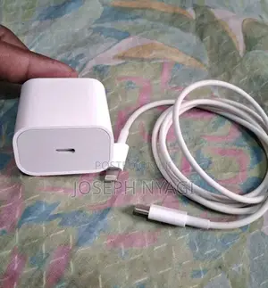 Apple iPhone Charger