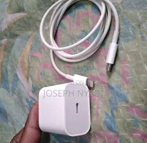 Apple iPhone Charger