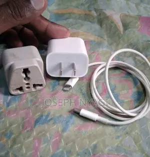 Apple iPhone Charger