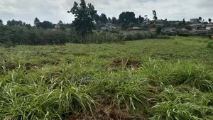 PRIME PLOT — LIMURU 100x100 (1/4 Acre)next to Rironi–Mau Summit Road