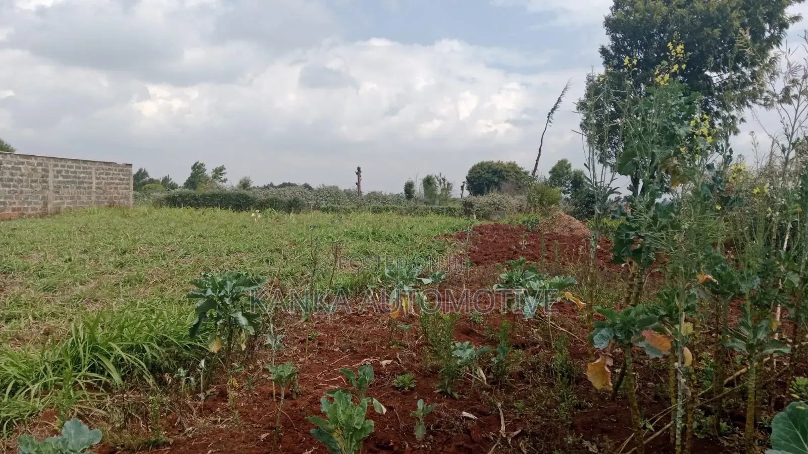 PRIME PLOT — LIMURU 100x100 (1/4 Acre)next to Rironi–Mau Summit Road