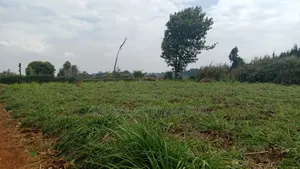PRIME PLOT — LIMURU 100x100 (1/4 Acre)next to Rironi–Mau Summit Road