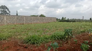 PRIME PLOT — LIMURU 100x100 (1/4 Acre)next to Rironi–Mau Summit Road