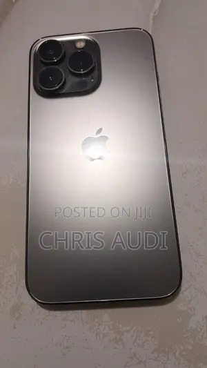 Apple iPhone 13 Pro 128 GB Gray