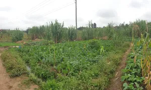 Thika Ngoingwa – Prime Residential Plot for Sale