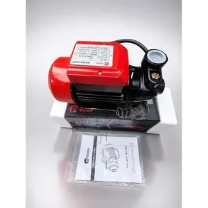 Edon QB-60 0.5HP Electric Water Pump