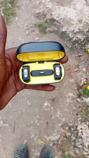 Type C/iPhone Wireless Magnetic Microphone
