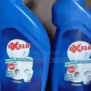 Toilet Cleaner