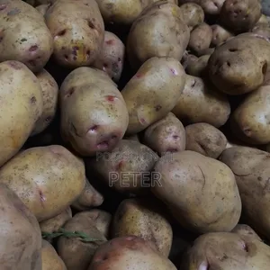 Potatoes Fresh Big for Chipo Hizo Niza Chips