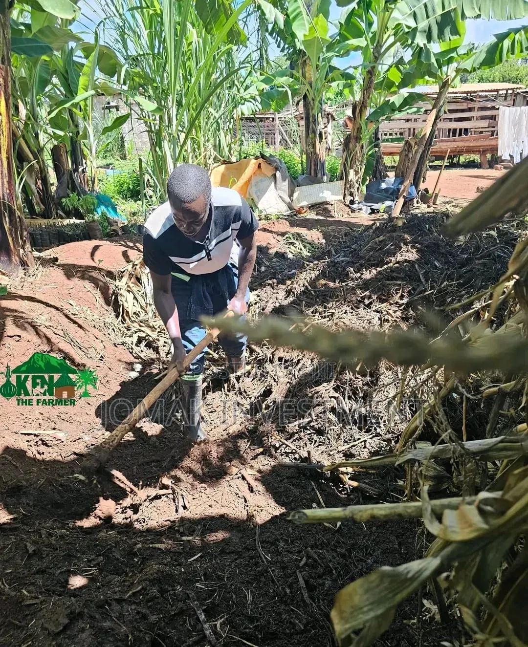 Manure (Mbolea) Available