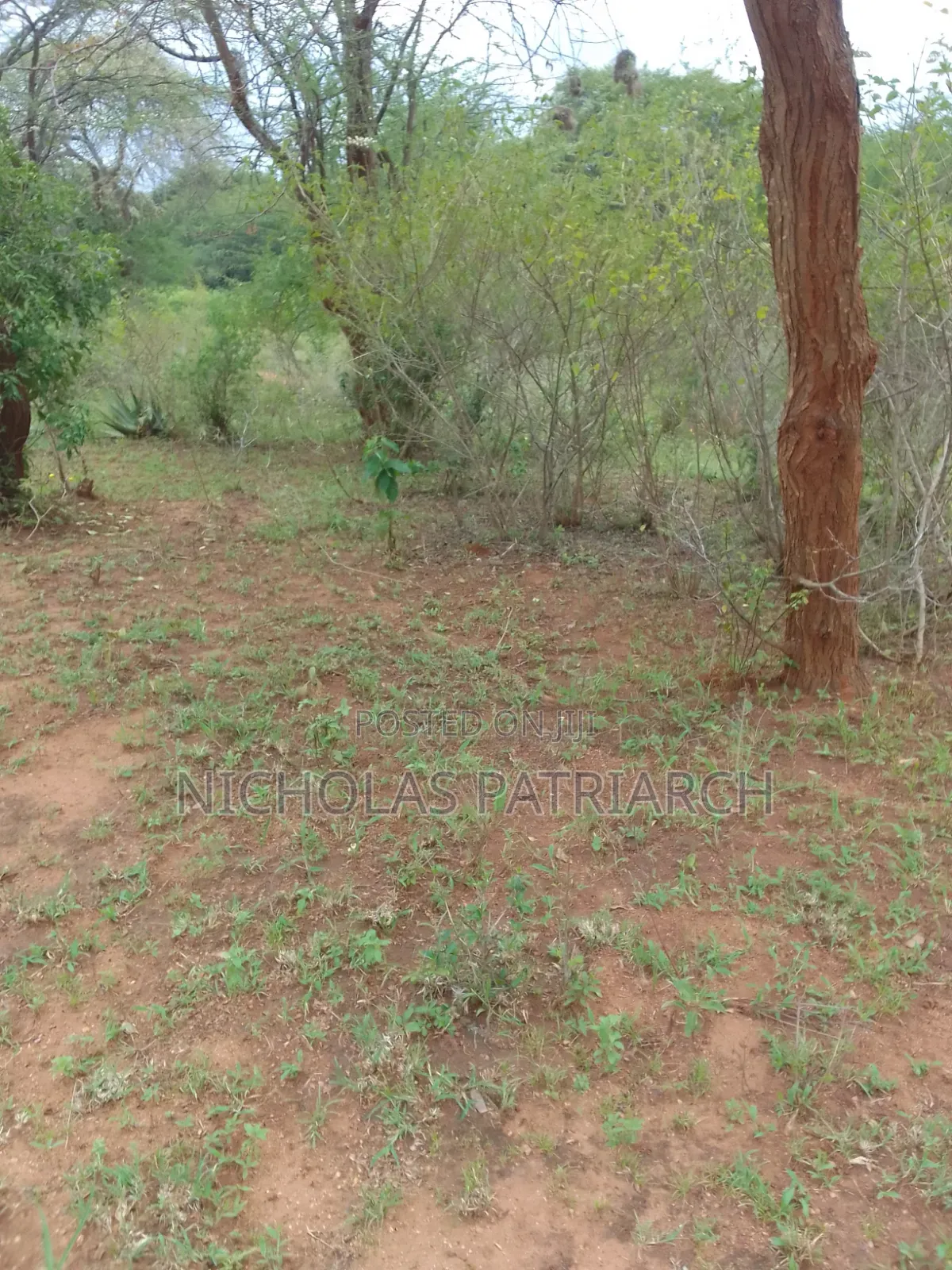 2 Acres Machakos Katangi Selling at . Per Acre