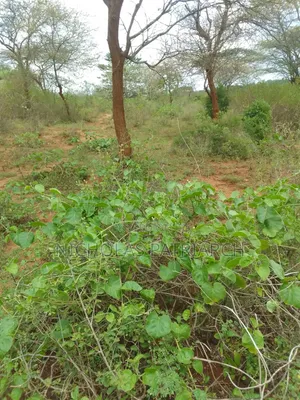 2 Acres Machakos Katangi Selling at . Per Acre