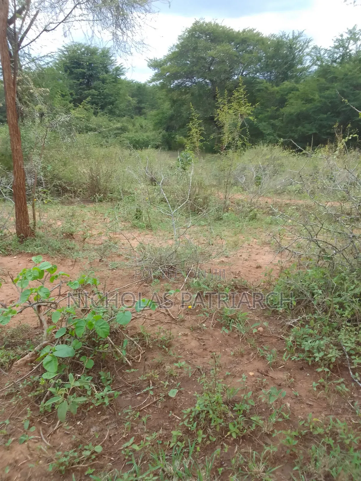 100 Acres Kajiado Kipini Selling