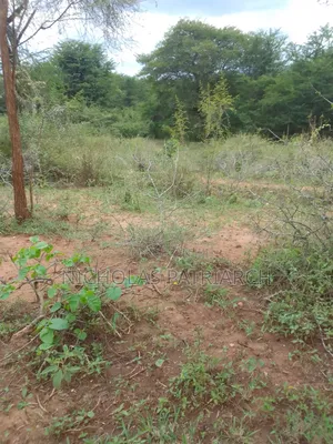 100 Acres Kajiado Kipini Selling
