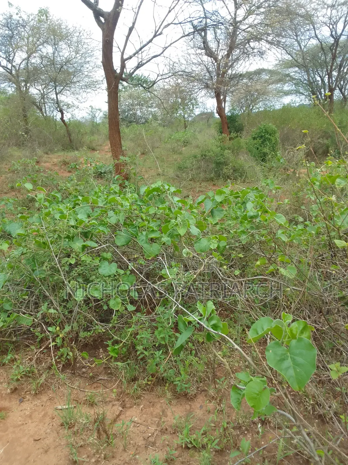 100 Acres Kajiado Kipini Selling