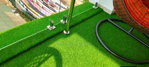 Premium Balcony Floor Grass Carpets Covering the Whole Floor