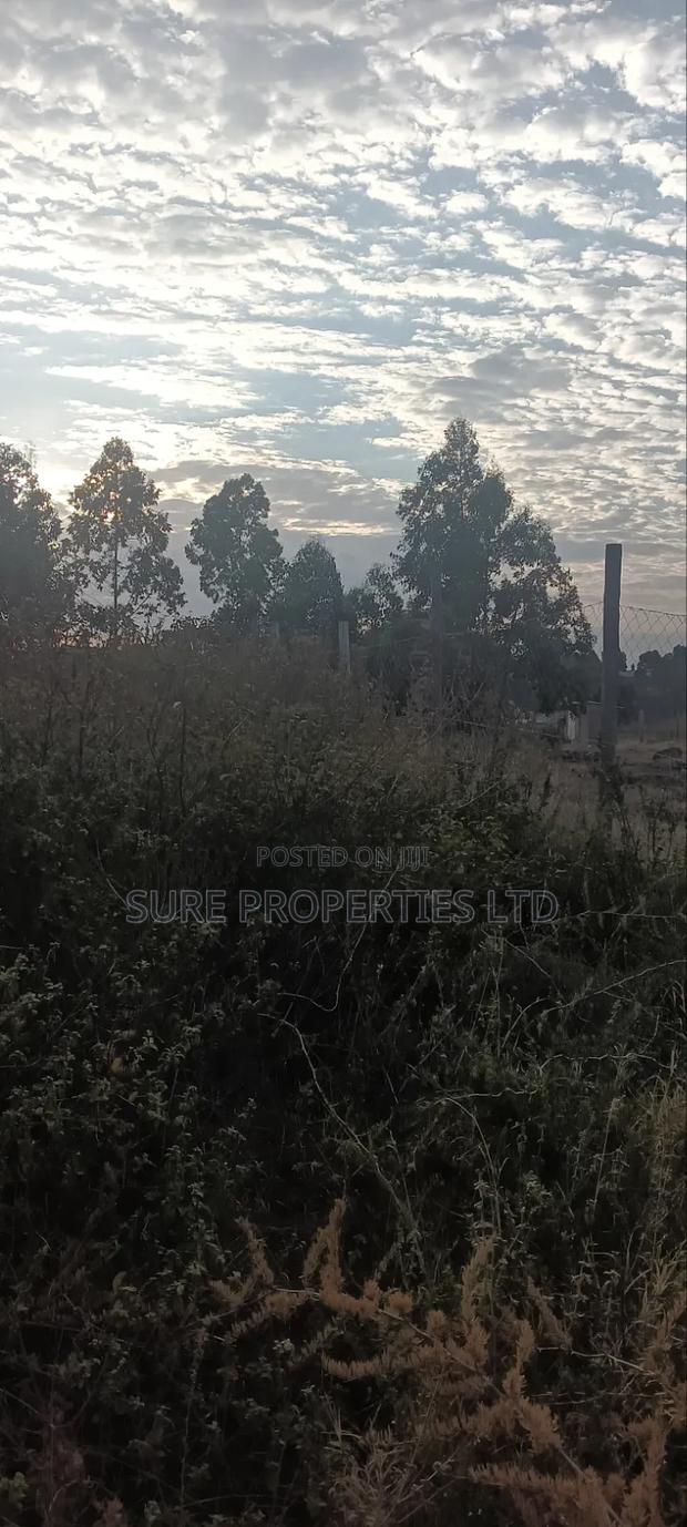 100x100 Prime Plot Kamangu Thigio