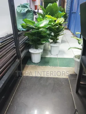 Local JUA Kali Curtain Rods Per Metre