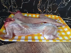 Rabbit Meat