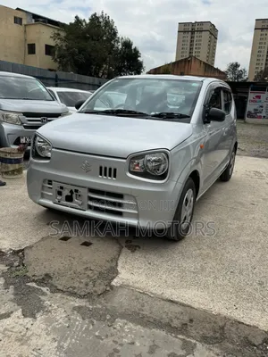 Suzuki Alto 2019 Silver
