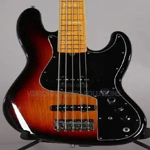 Fender 5 String Bass Guitar