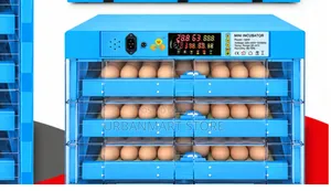 128 Egg Incubator AC/DC With Temperature Regulator