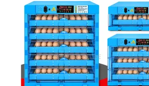 128 Eggs Capacity Incubator With Temperature Control