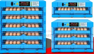 AC/DC Egg Incubator 128 Eggs Capacity, Egg Machine