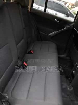 Volkswagen Tiguan 2009 Gray