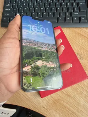 Apple iPhone 13 Pro 256 GB Gray