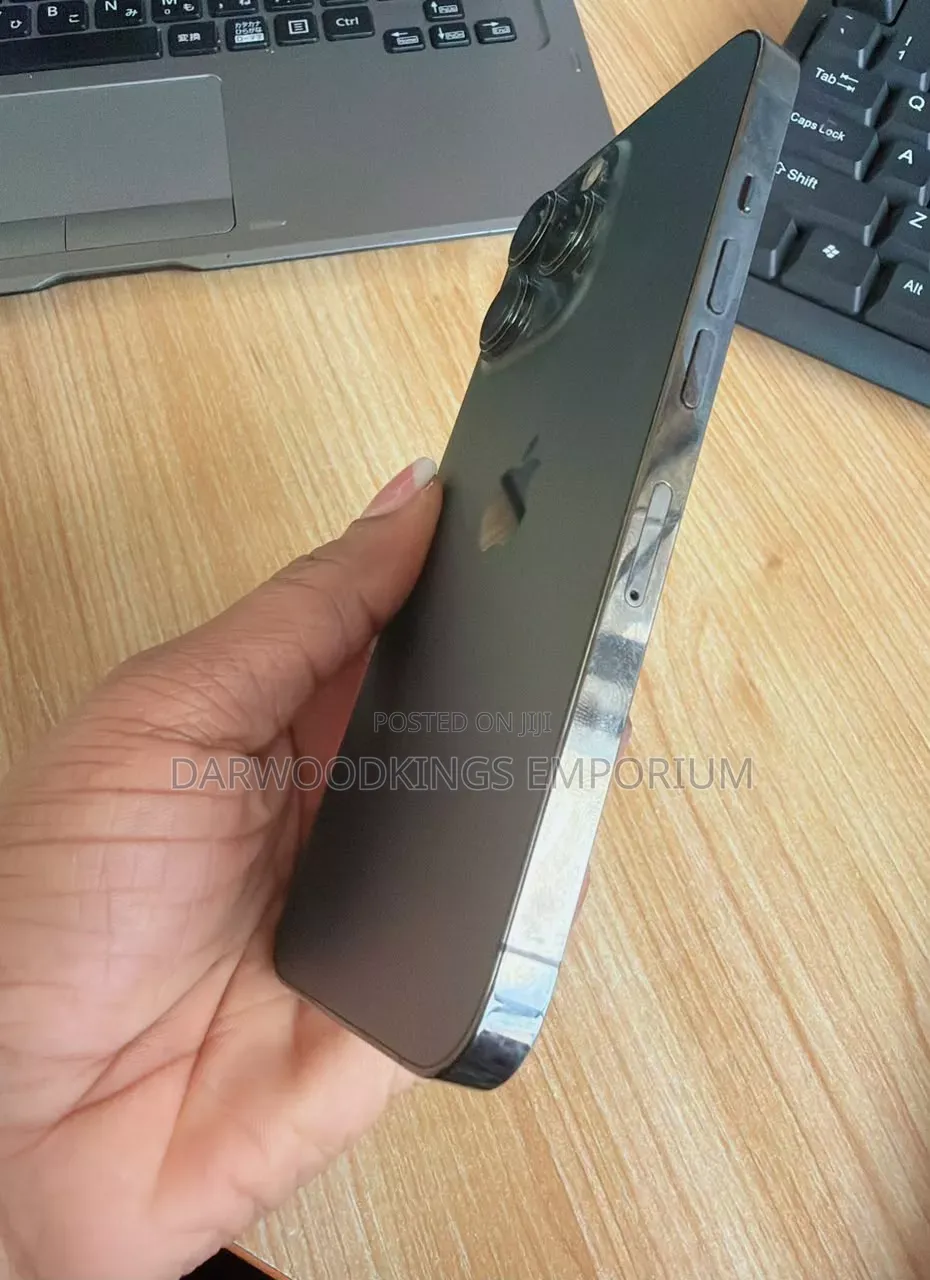 Apple iPhone 13 Pro 256 GB Gray