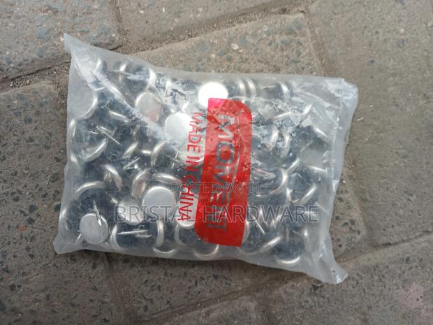 100pcs Steel Nail