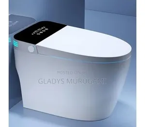 High Standard Bolesi Smart Toilet