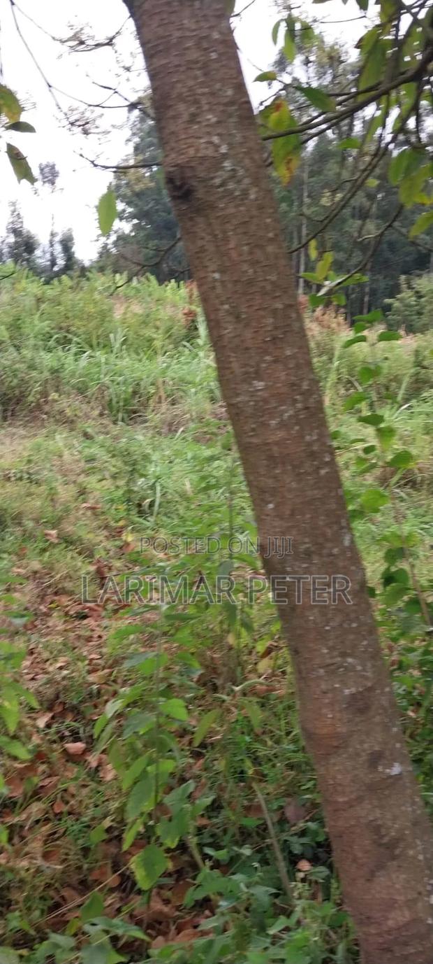 Selling Land - thumbnail 2