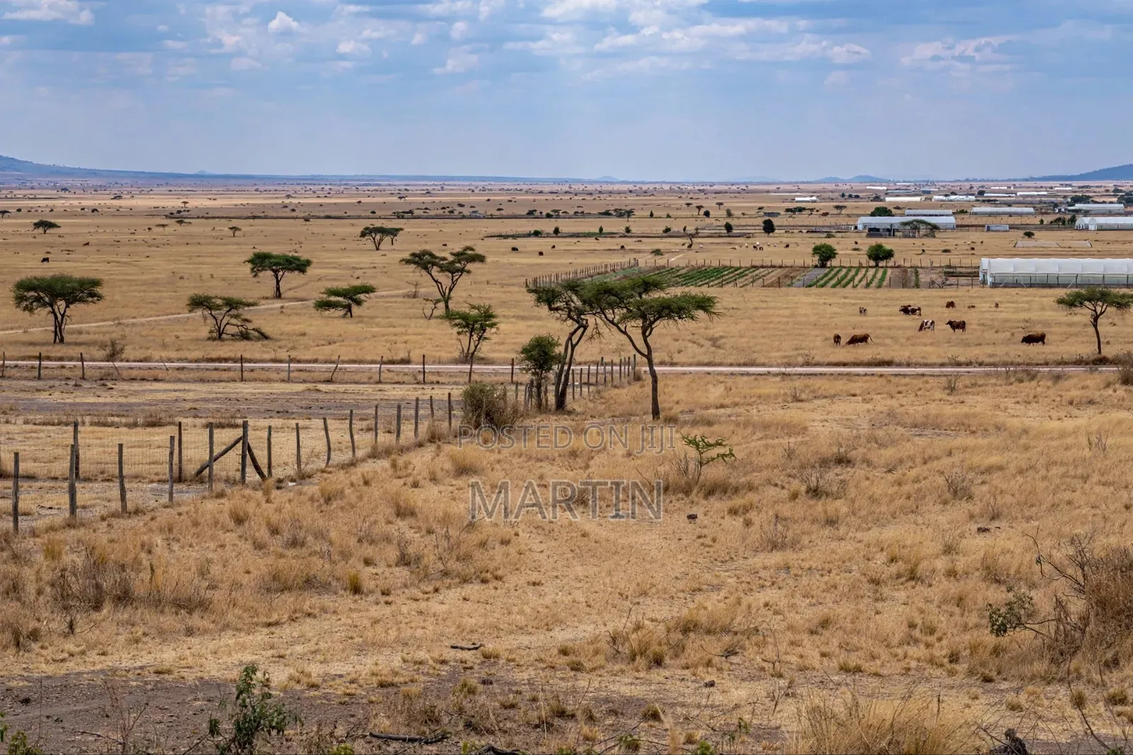 5 Accres of Land Isinya With Clean Title