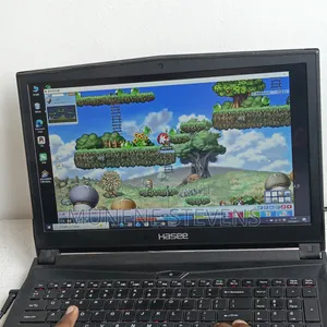 Playing Video Games