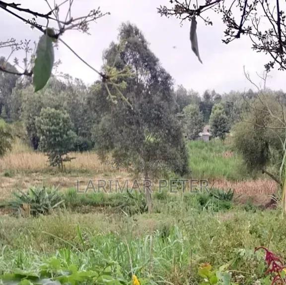 Selling Land