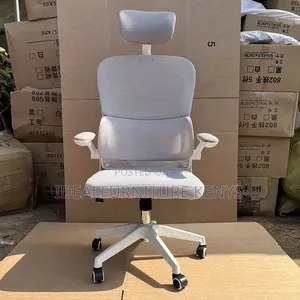 Light Gray Ergonomic Office Chair