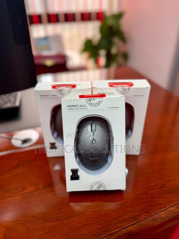 Havit MS76GT Plus Wireless Mouse Grey and Black Mouse - main view