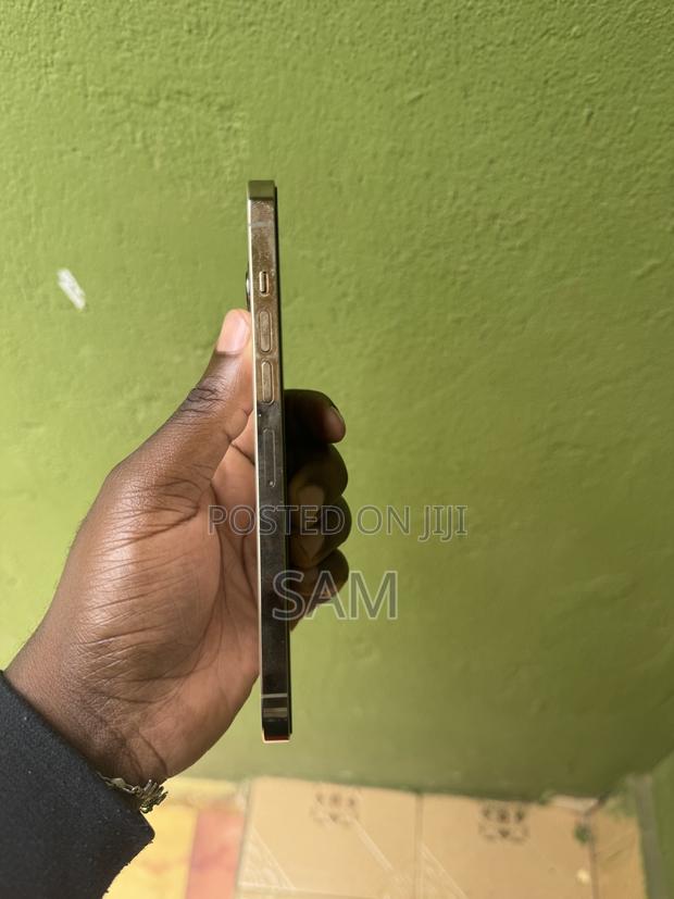 Apple iPhone 13 Pro Max 256 GB Gold - thumbnail 6
