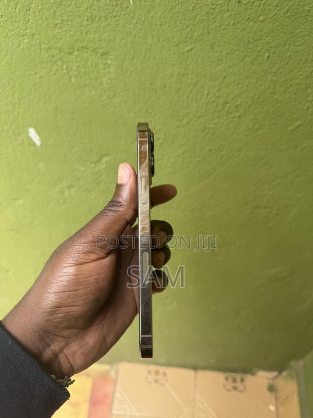 Apple iPhone 13 Pro Max 256 GB Gold - thumbnail 5